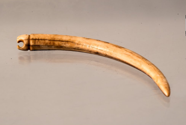 Agulha em Osso do Período Neolítico